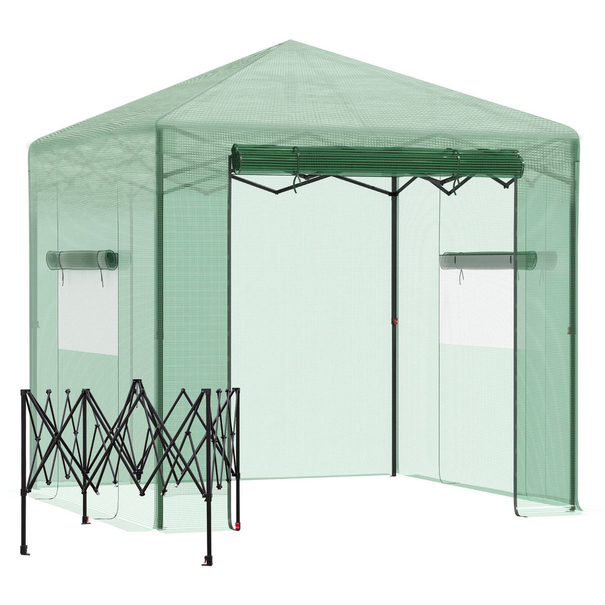 Serra per piante, porta e finestra avvolgibili, 238x178x240cm